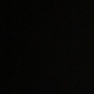 Meet your Posher, Chandler